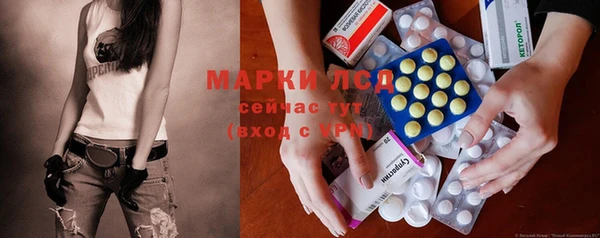 сатива Белокуриха