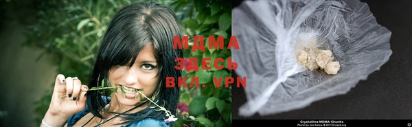сатива Белокуриха