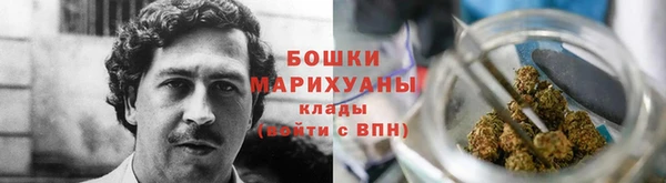 гашиш Богданович