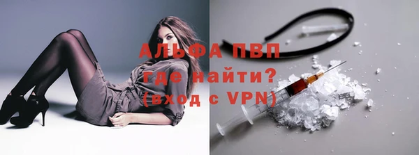 сатива Белокуриха
