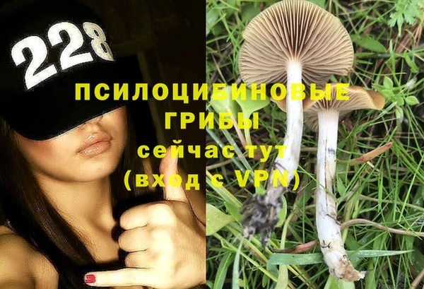 гашиш Богданович