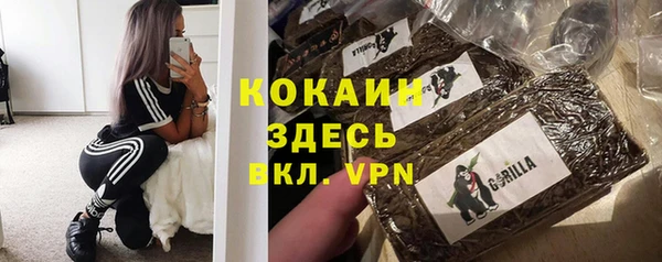 сатива Белокуриха